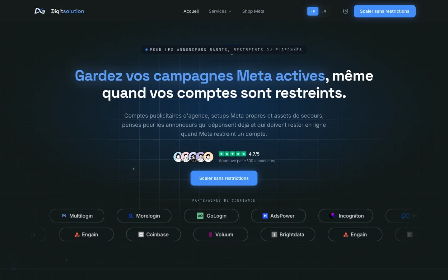 Page d'accueil du site vitrine Digit Solution
