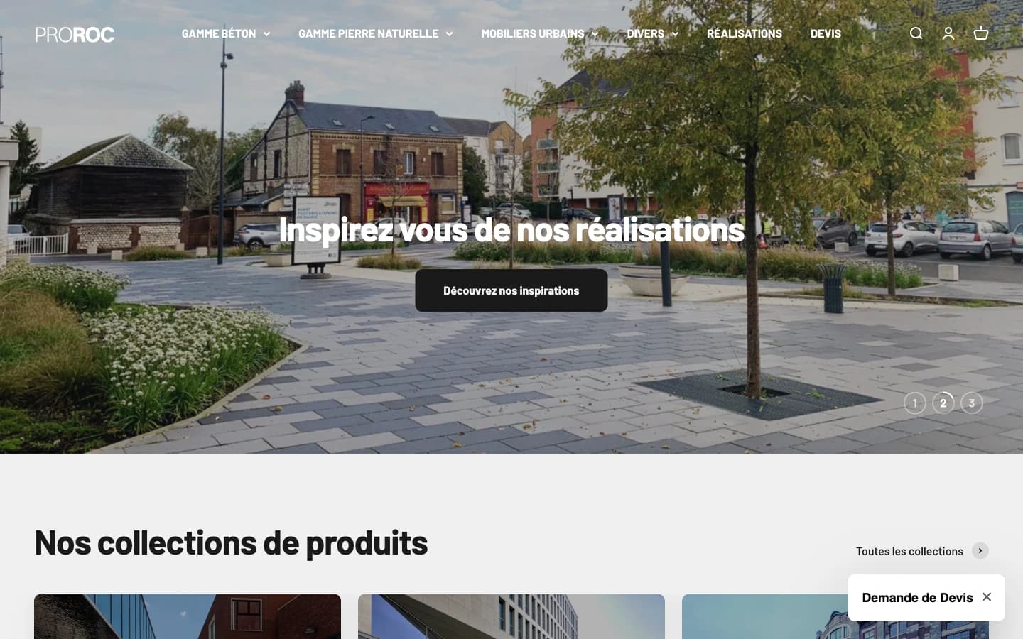 Page d'accueil du site Shopify Pro Roc